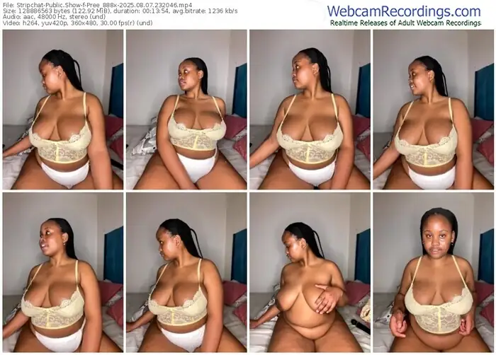 stripchat-pree_888x-08-07-2025-23-20-46