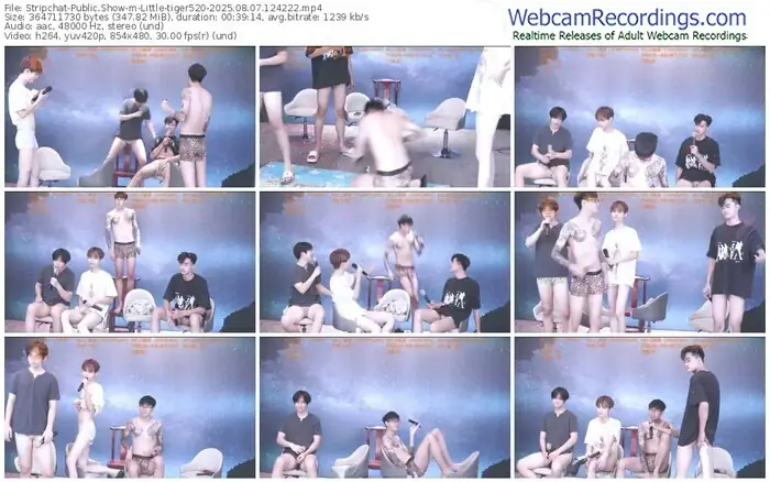 stripchat-little-tiger520-08-07-2025-12-42-22