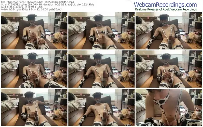 stripchat-nihs1-08-07-2025-07-04-58