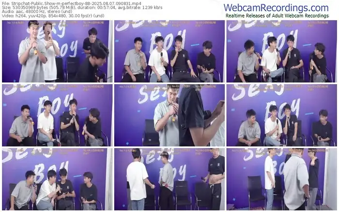 stripchat-perfectboy-88-08-07-2025-09-08-31