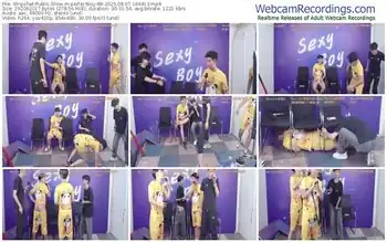 stripchat-perfectboy-88-08-07-2025-16-44-13