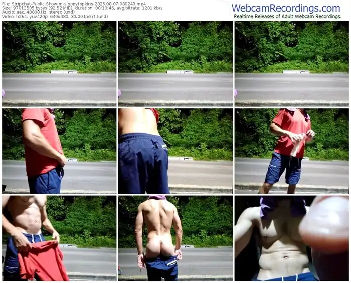 stripchat-sloppytopkins-08-07-2025-08-02-49