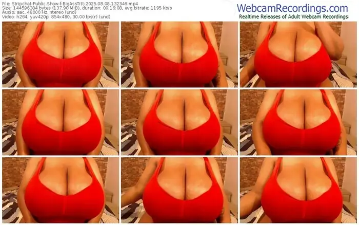 stripchat-bigasstitt-08-08-2025-13-23-46