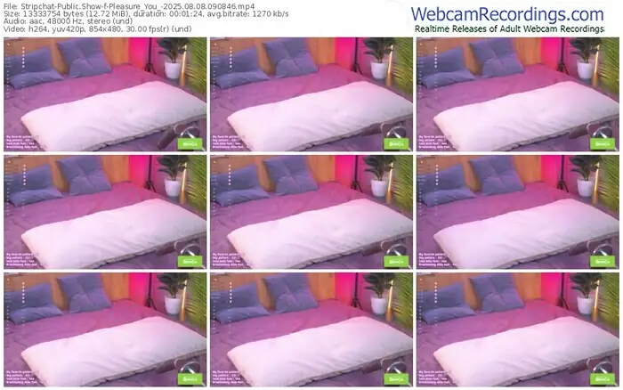 stripchat-pleasure_you_-08-08-2025-09-08-46