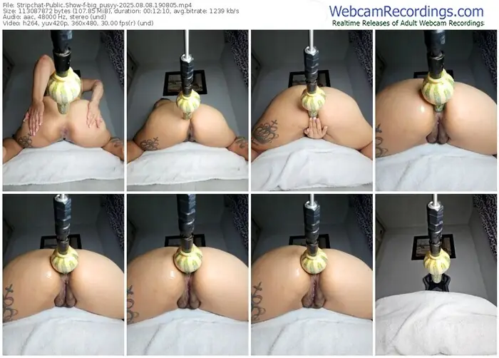 stripchat-big_pusyy-08-08-2025-19-08-05