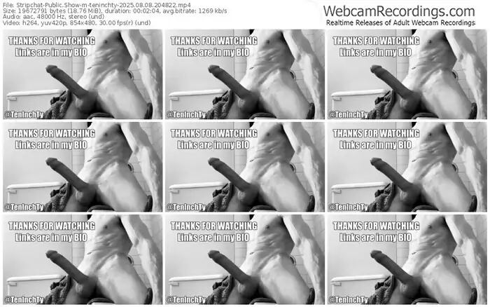 stripchat-teninchty-08-08-2025-20-48-22