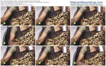 stripchat-novapol-08-09-2025-13-47-00