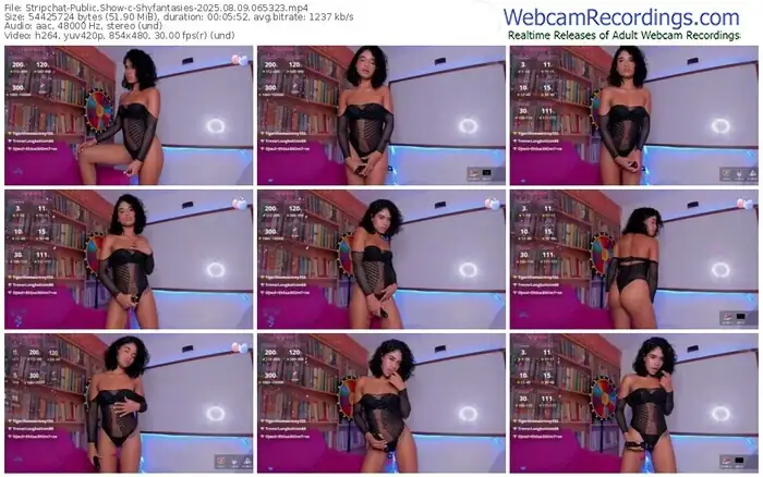 stripchat-shyfantasies-08-09-2025-06-53-23