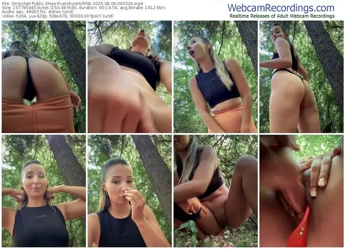 stripchat-letsfunkarina-08-09-2025-06-33-24