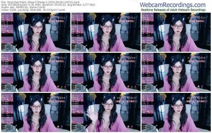 stripchat-sheep-1-08-09-2025-13-02-31