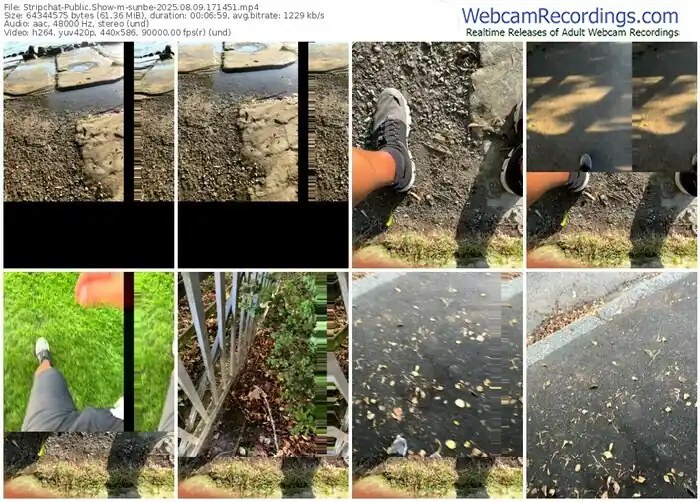 stripchat-sunbe-08-09-2025-17-14-51