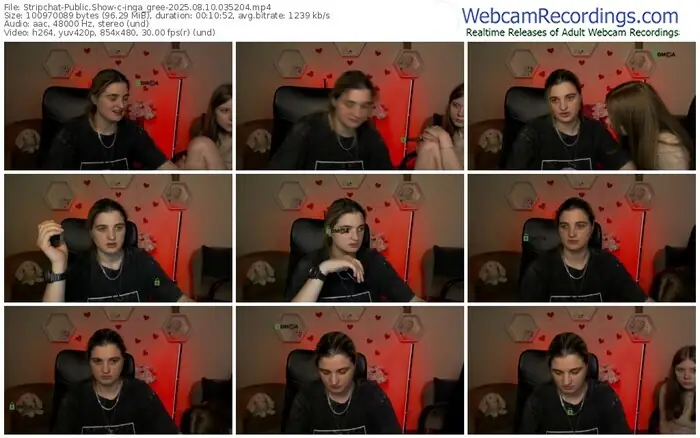 stripchat-inga_gree-08-10-2025-03-52-04