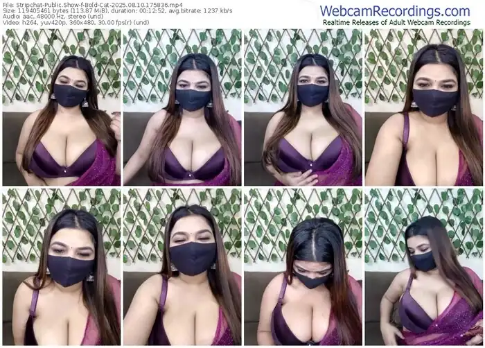 stripchat-bold-cat-08-10-2025-17-58-36