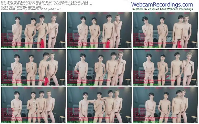 stripchat-beautifulboys-777-08-10-2025-17-26-01