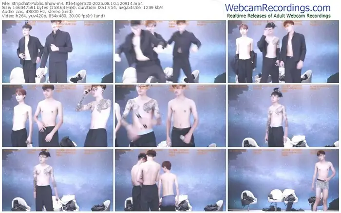 stripchat-little-tiger520-08-10-2025-12-09-14