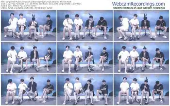 stripchat-little-tiger520-08-10-2025-14-57-09