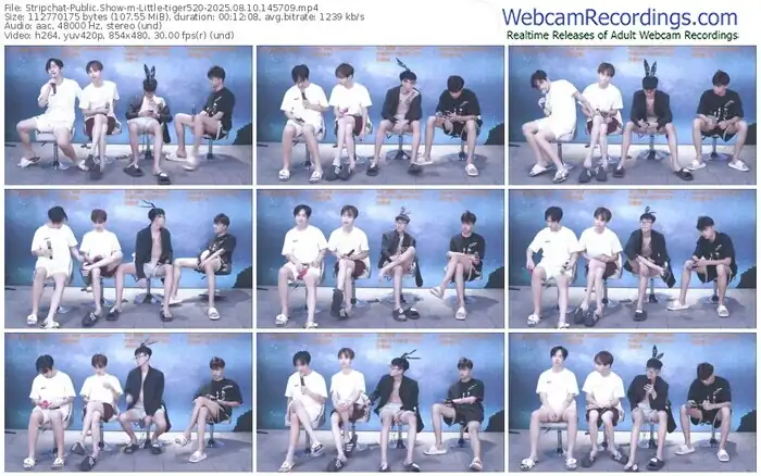 stripchat-little-tiger520-08-10-2025-14-57-09