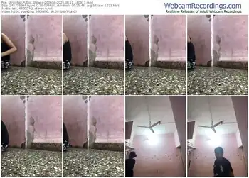 stripchat-20000a-08-11-2025-18-09-17