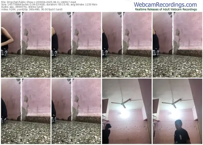 stripchat-20000a-08-11-2025-18-09-17