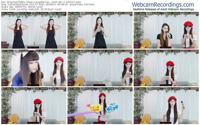 stripchat-angelwings_-08-11-2025-04-05-27