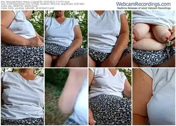 stripchat-carpedi3m-08-11-2025-17-47-47