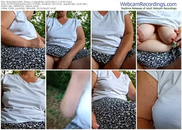 stripchat-carpedi3m-08-11-2025-17-47-47