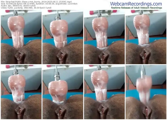 stripchat-hot_bunny_2024-08-11-2025-15-30-41