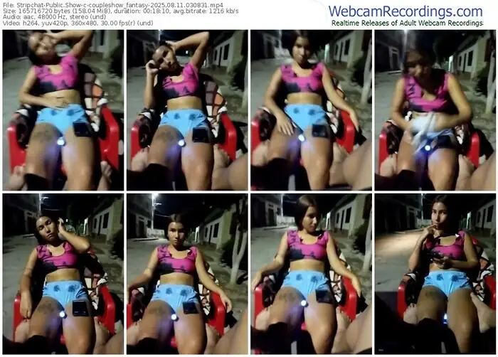 stripchat-coupleshow_fantasy-08-11-2025-03-08-31