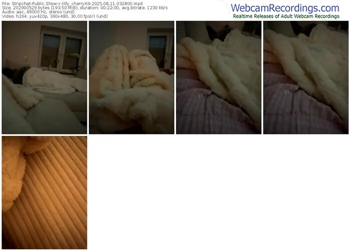 stripchat-lilly_cherry69-08-11-2025-03-28-00