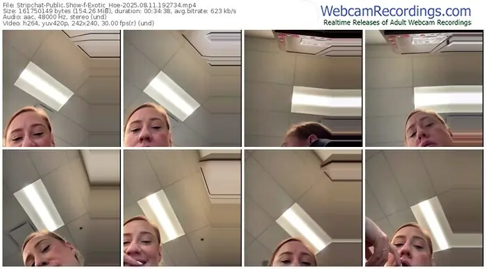 stripchat-exotic_hoe-08-11-2025-19-27-34