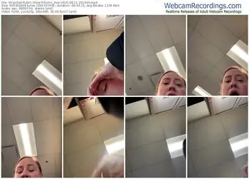 stripchat-exotic_hoe-08-11-2025-20-14-49