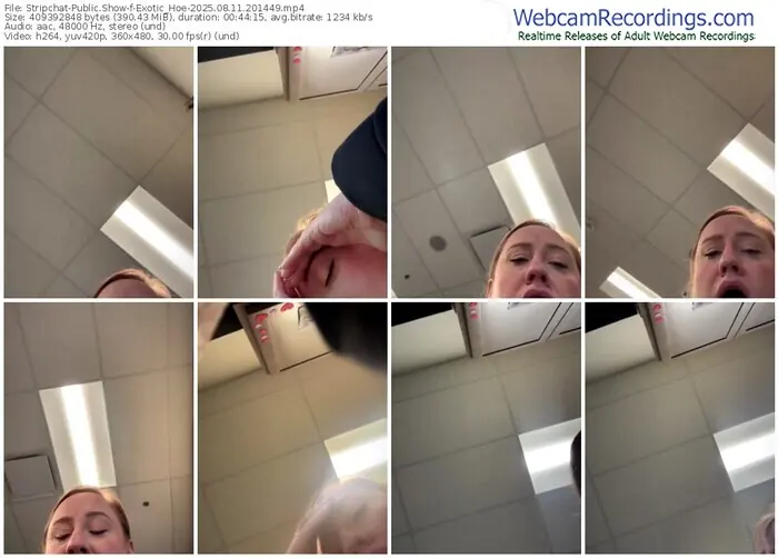 stripchat-exotic_hoe-08-11-2025-20-14-49