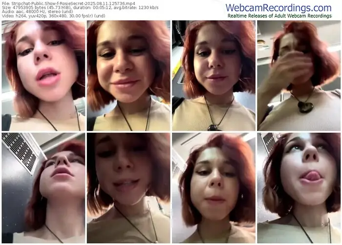 stripchat-rosiesecret-08-11-2025-12-57-36