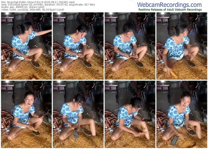 stripchat-sisi-6-08-11-2025-09-23-01