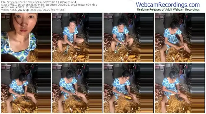 stripchat-sisi-6-08-11-2025-09-54-17