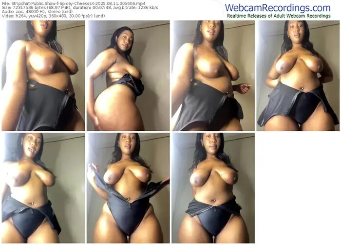 stripchat-spicey-cheekssx-08-11-2025-00-56-06