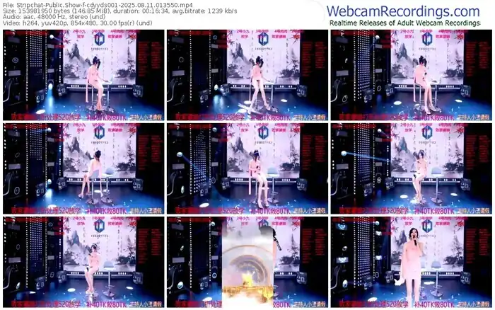 stripchat-cdyyds001-08-11-2025-01-35-50