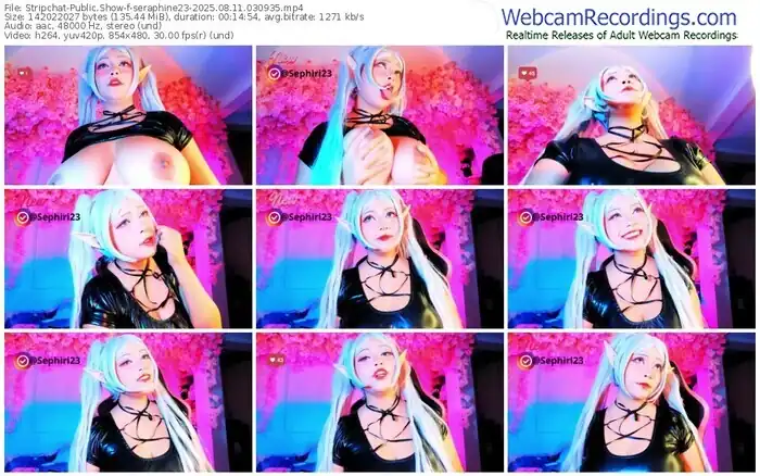 stripchat-seraphine23-08-11-2025-03-09-35