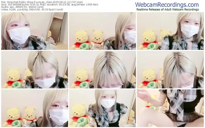 stripchat-xxnyan_chan-08-11-2025-11-17-47