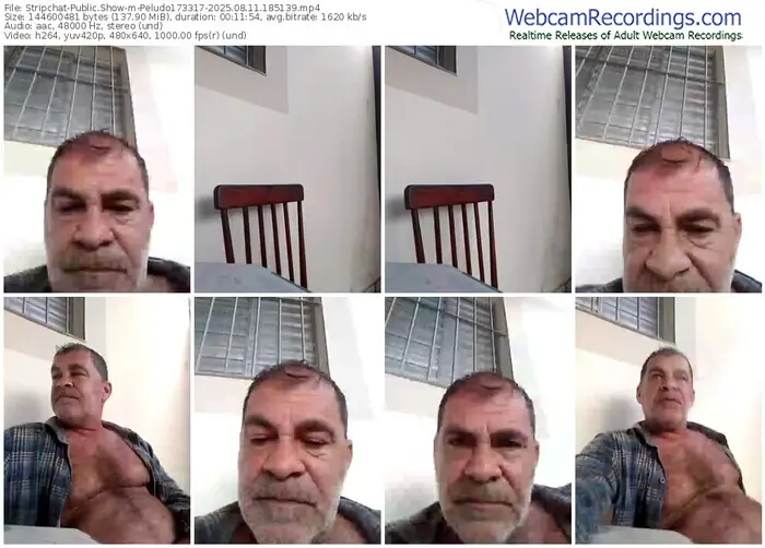 stripchat-peludo173317-08-11-2025-18-51-39