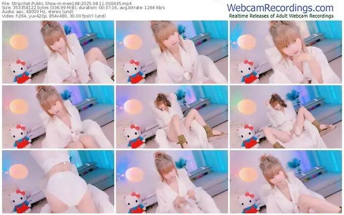 stripchat-mee168-08-11-2025-00-04-35