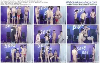 stripchat-perfectboy-88-08-11-2025-16-52-50