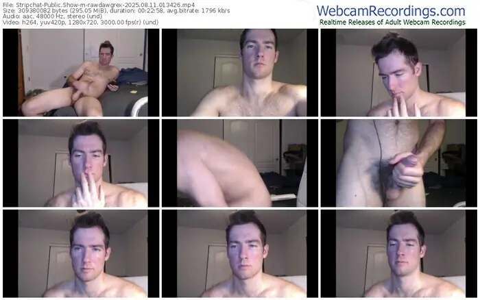 stripchat-rawdawgrex-08-11-2025-01-34-26