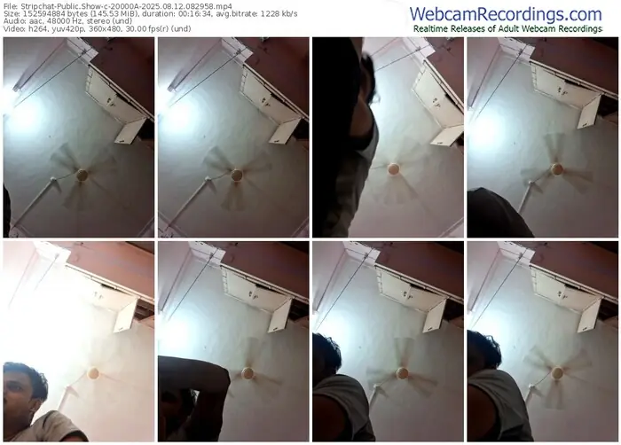 stripchat-20000a-08-12-2025-08-29-58