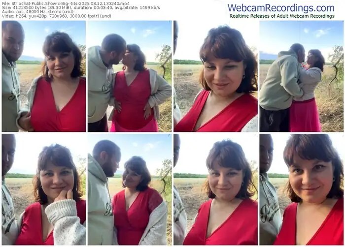 stripchat-big--tits-08-12-2025-13-32-40