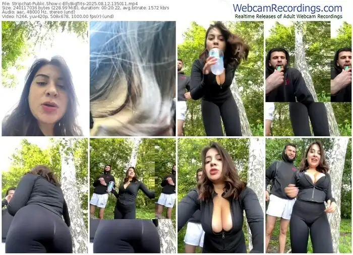 stripchat-ellybigtits-08-12-2025-13-50-11