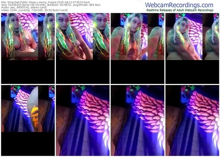 stripchat-horny_hippie-08-12-2025-07-35-23