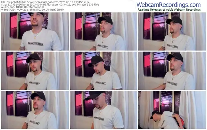 stripchat-pleasure_vibes23-08-12-2025-21-34-56