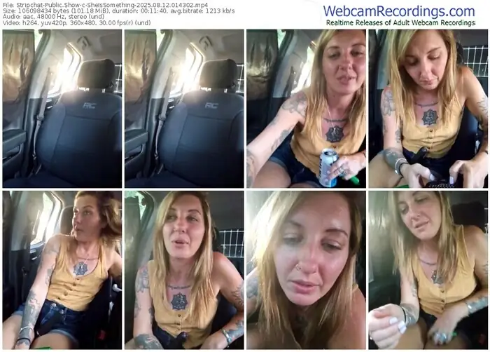 stripchat-sheissomething-08-12-2025-01-43-02
