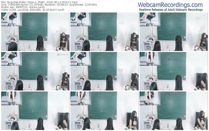 stripchat-_math_-08-12-2025-05-31-11